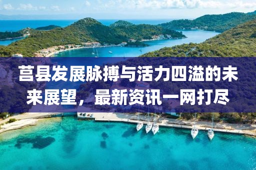 莒县发展脉搏与活力四溢的未来展望，最新资讯一网打尽