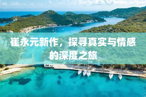 崔永元新作，探寻真实与情感的深度之旅