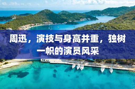周迅，演技与身高并重，独树一帜的演员风采