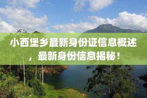 小西堡乡最新身份证信息概述，最新身份信息揭秘！