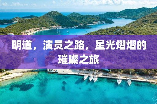 明道，演员之路，星光熠熠的璀璨之旅