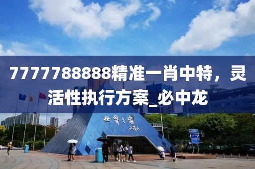 7777788888精准一肖中特，灵活性执行方案_必中龙