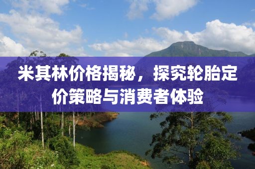 米其林价格揭秘，探究轮胎定价策略与消费者体验
