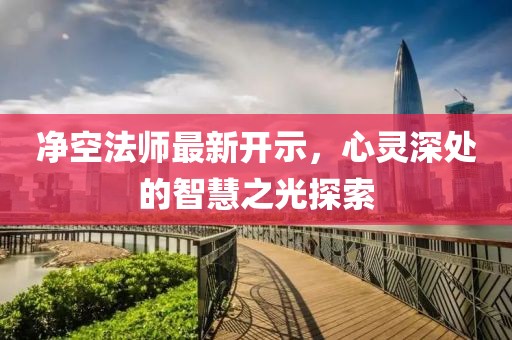 净空法师最新开示，心灵深处的智慧之光探索
