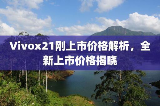 Vivox21刚上市价格解析，全新上市价格揭晓