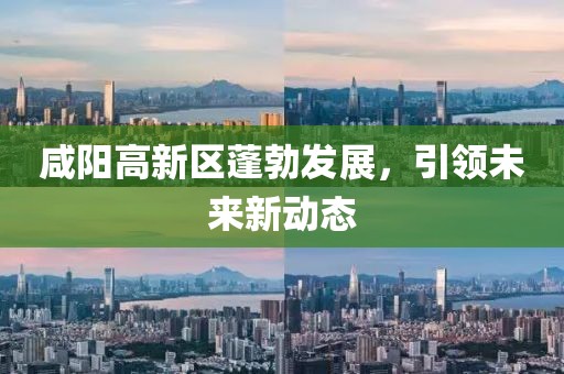 咸阳高新区蓬勃发展，引领未来新动态