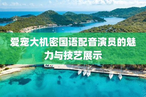 爱宠大机密国语配音演员的魅力与技艺展示