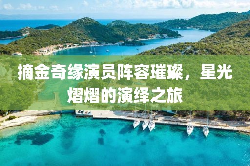 摘金奇缘演员阵容璀璨，星光熠熠的演绎之旅