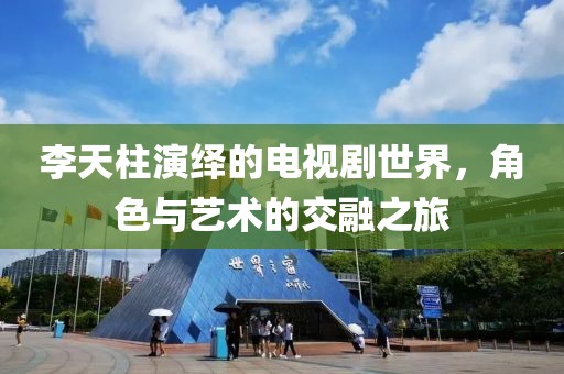 李天柱演绎的电视剧世界，角色与艺术的交融之旅