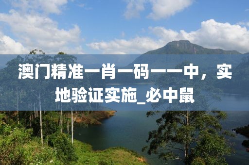 澳门精准一肖一码一一中，实地验证实施_必中鼠