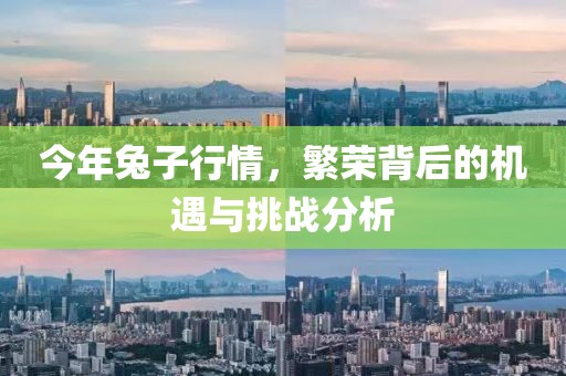 今年兔子行情，繁荣背后的机遇与挑战分析