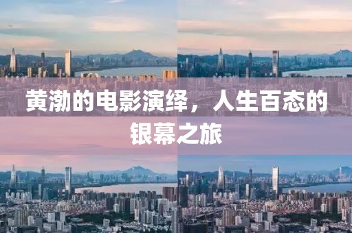 黄渤的电影演绎，人生百态的银幕之旅