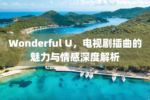 Wonderful U，电视剧插曲的魅力与情感深度解析