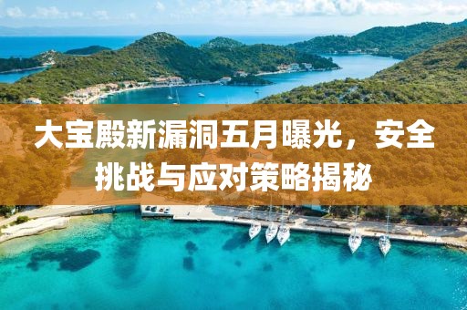 大宝殿新漏洞五月曝光，安全挑战与应对策略揭秘