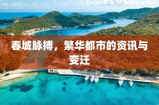 春城脉搏，繁华都市的资讯与变迁