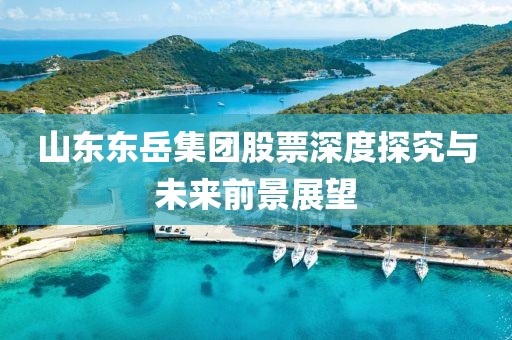 山东东岳集团股票深度探究与未来前景展望