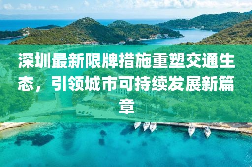 深圳最新限牌措施重塑交通生态，引领城市可持续发展新篇章