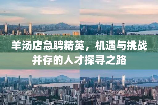 羊汤店急聘精英，机遇与挑战并存的人才探寻之路