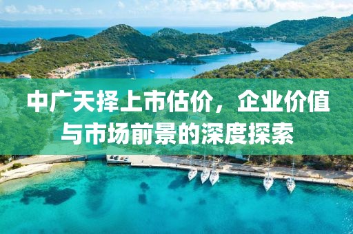 中广天择上市估价，企业价值与市场前景的深度探索