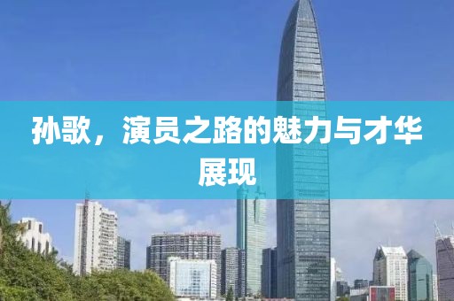 孙歌，演员之路的魅力与才华展现