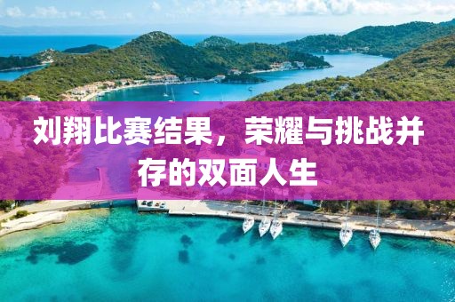 刘翔比赛结果，荣耀与挑战并存的双面人生