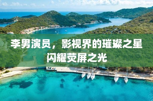 李男演员，影视界的璀璨之星闪耀荧屏之光