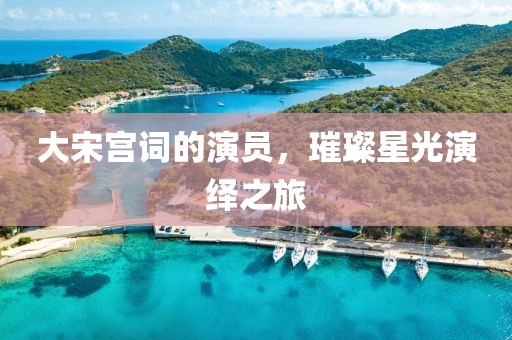 大宋宫词的演员，璀璨星光演绎之旅