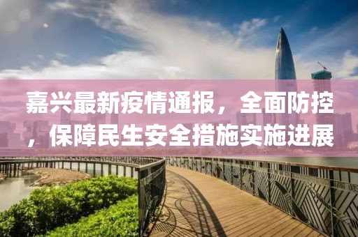 嘉兴最新疫情通报，全面防控，保障民生安全措施实施进展