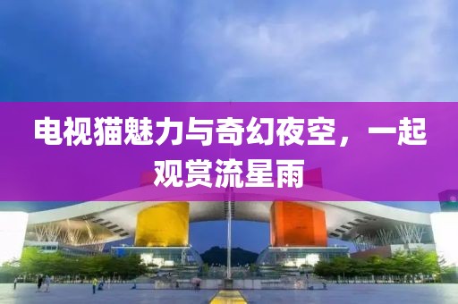 电视猫魅力与奇幻夜空，一起观赏流星雨
