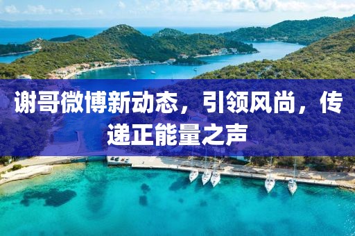 谢哥微博新动态，引领风尚，传递正能量之声