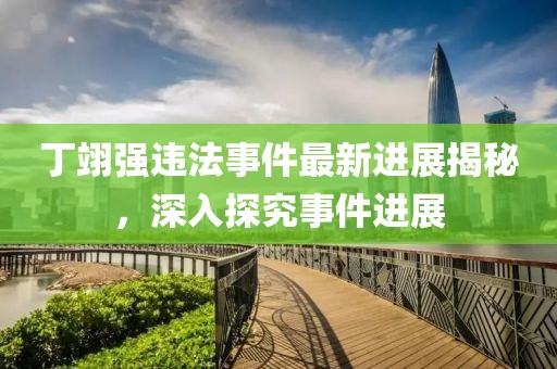 丁翊强违法事件最新进展揭秘，深入探究事件进展