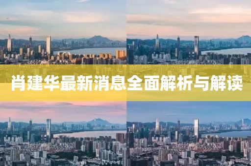 肖建华最新消息全面解析与解读