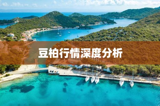 豆柏行情深度分析