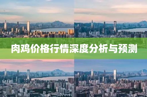 肉鸡价格行情深度分析与预测