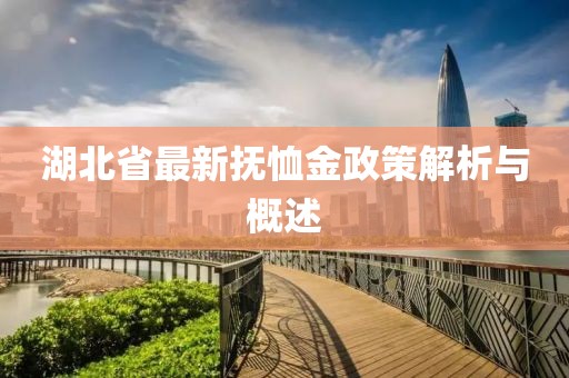 湖北省最新抚恤金政策解析与概述