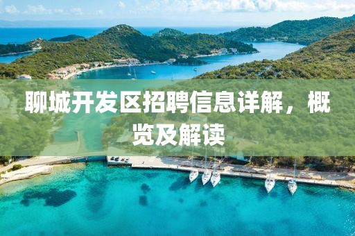 聊城开发区招聘信息详解，概览及解读