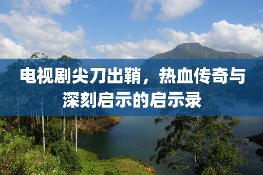 电视剧尖刀出鞘，热血传奇与深刻启示的启示录