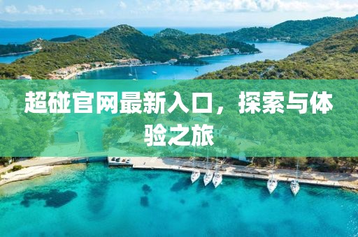 超碰官网最新入口，探索与体验之旅
