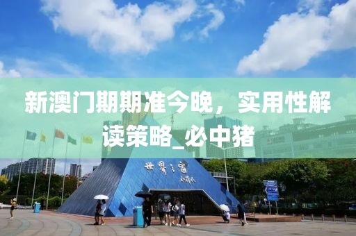 新澳门期期准今晚，实用性解读策略_必中猪