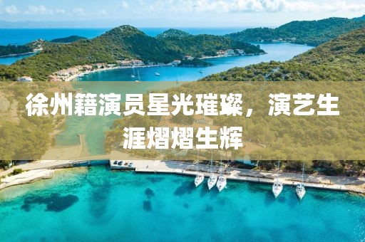 徐州籍演员星光璀璨，演艺生涯熠熠生辉