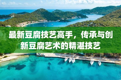 最新豆腐技艺高手，传承与创新豆腐艺术的精湛技艺