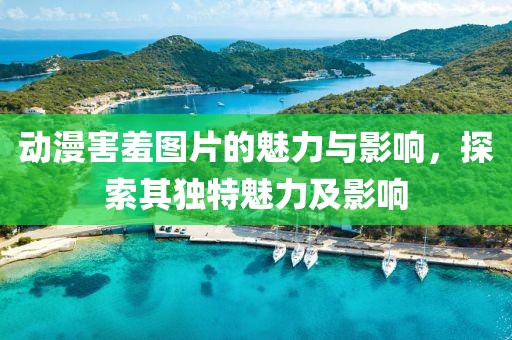 动漫害羞图片的魅力与影响，探索其独特魅力及影响