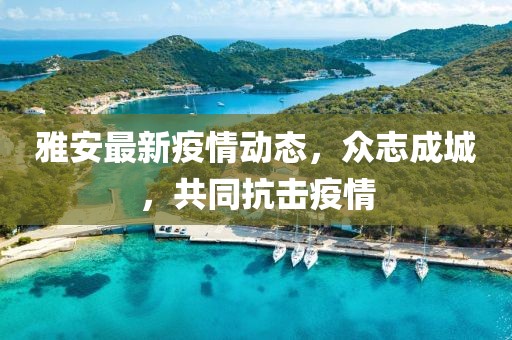 雅安最新疫情动态，众志成城，共同抗击疫情