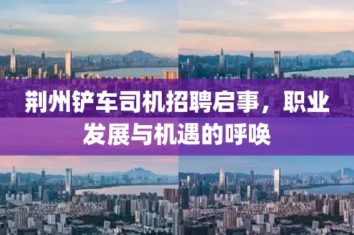 荆州铲车司机招聘启事，职业发展与机遇的呼唤