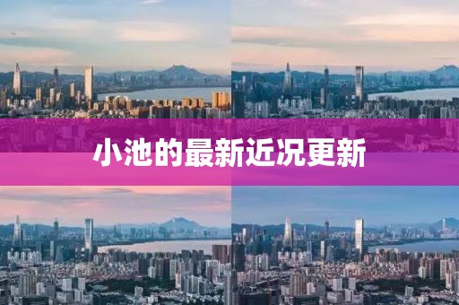 小池的最新近况更新
