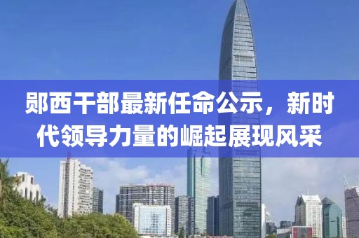 郧西干部最新任命公示，新时代领导力量的崛起展现风采