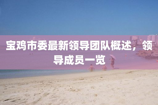 宝鸡市委最新领导团队概述，领导成员一览
