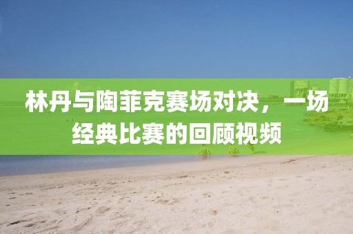 林丹与陶菲克赛场对决，一场经典比赛的回顾视频