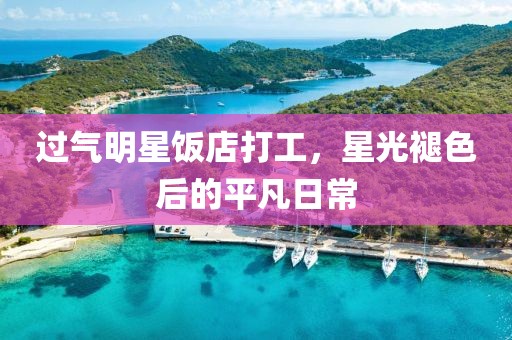 过气明星饭店打工，星光褪色后的平凡日常