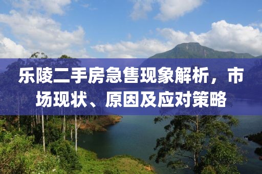 乐陵二手房急售现象解析，市场现状、原因及应对策略